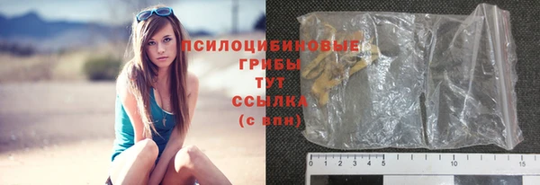 дживик Абинск