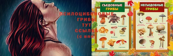 дживик Абинск