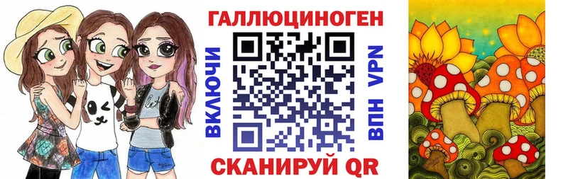 наркота Нариманов Псилоцибиновые грибы Cubensis