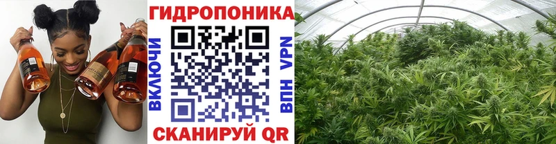 Бошки Шишки Amnesia Нариманов